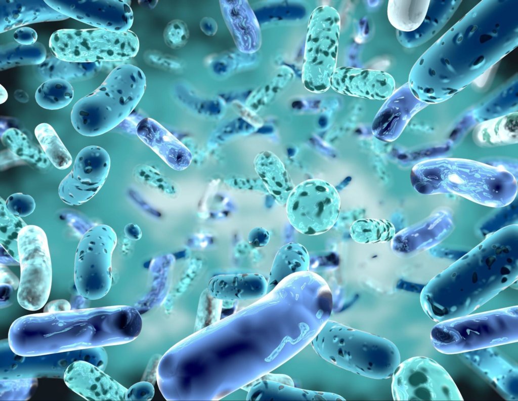 illustration of probiotics under a microscope