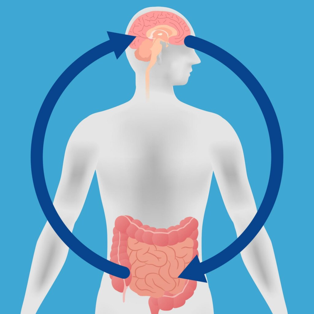 an illustration with arrows to represent the gut-brain connection
