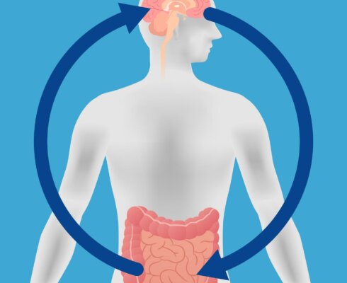 an illustration with arrows to represent the gut-brain connection